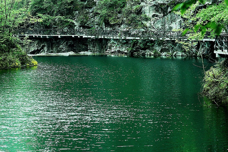DSC09757_副本.jpg