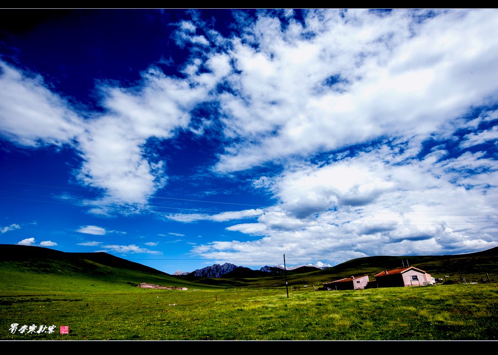 _DSC9597.jpg