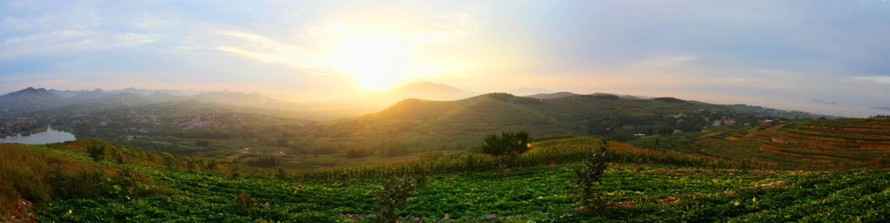 植物园全景图20.jpg