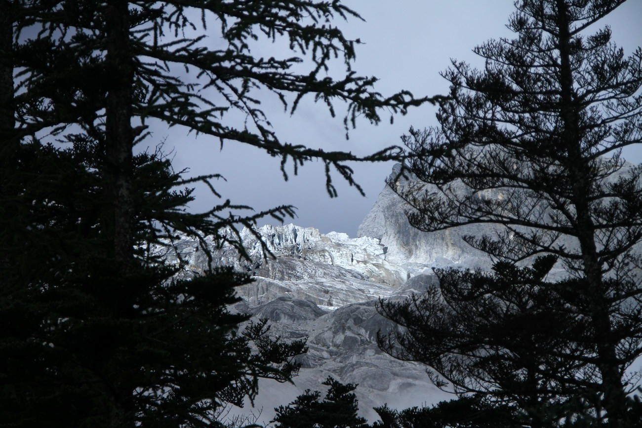 IMG_1216_调整大小.JPG