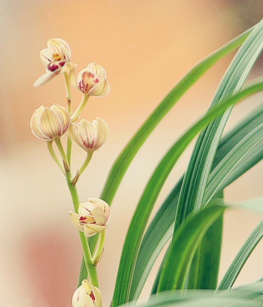 照片 099_副本.jpg