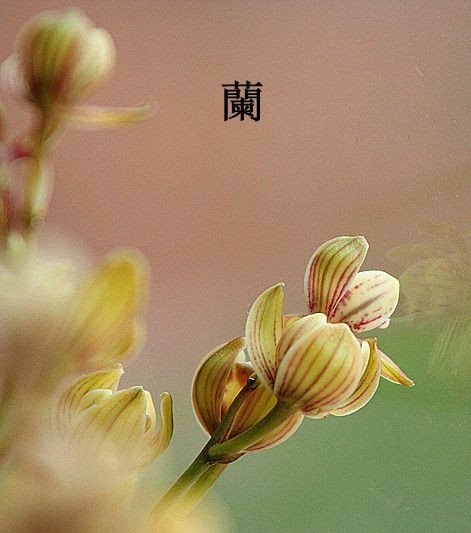 照片 087_副本_副本.jpg