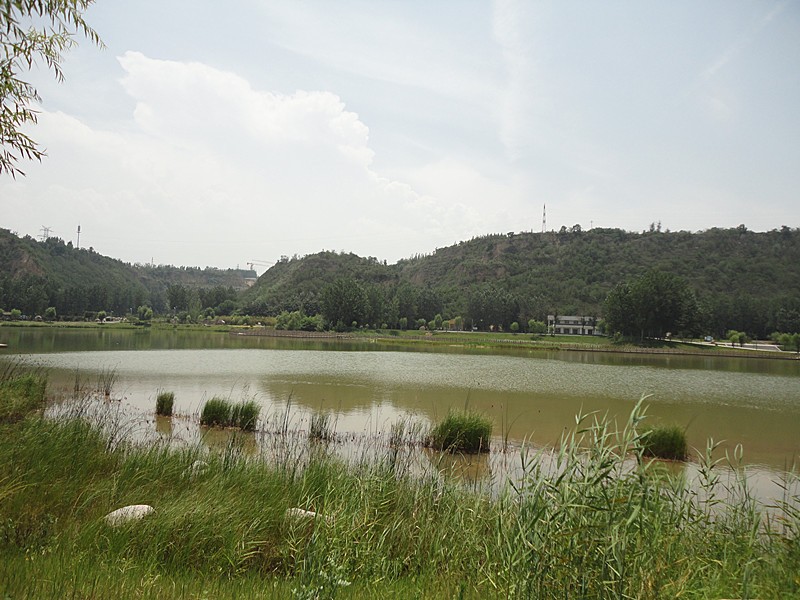 DSC08955_副本.jpg
