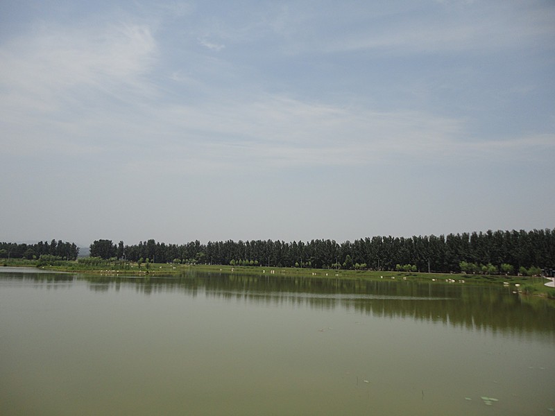 DSC08959_副本.jpg