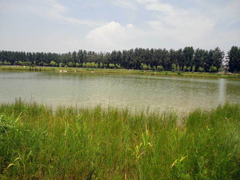 DSC08978_副本.jpg
