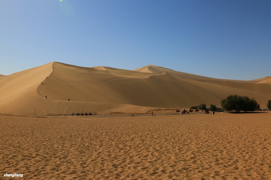 DO2A4462_conew1.jpg