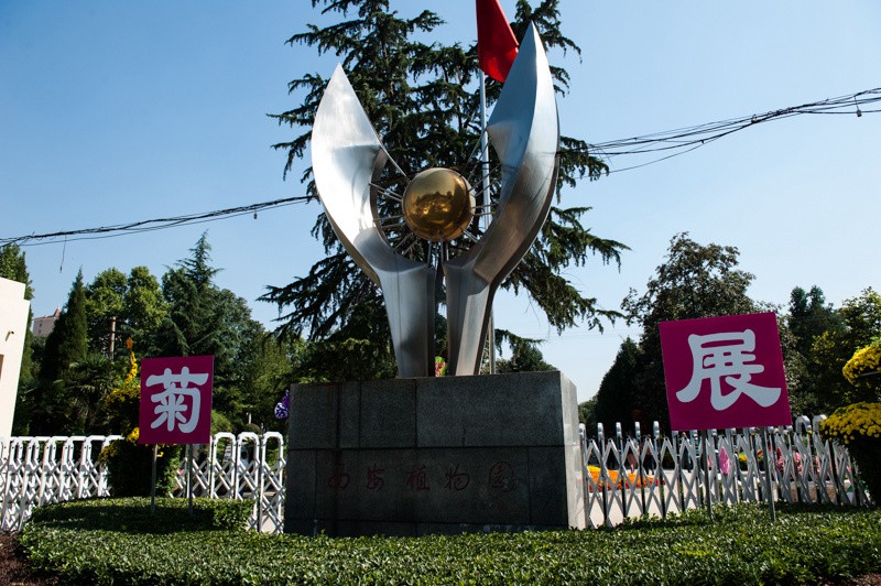 DSC_1532.JPG
