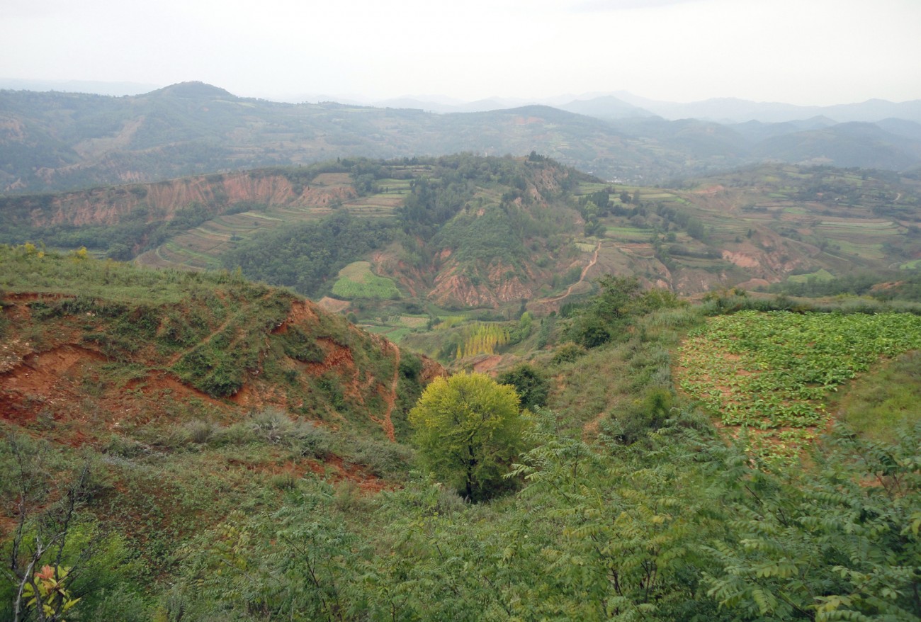 DSC09076_副本_副本.jpg