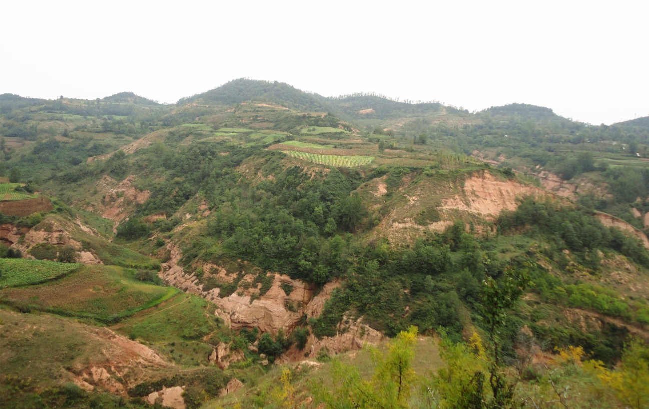 DSC09050_副本_副本.jpg