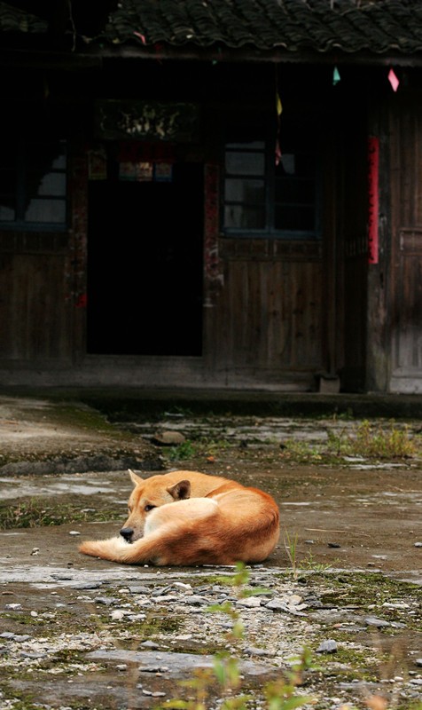 照片 062_副本.jpg