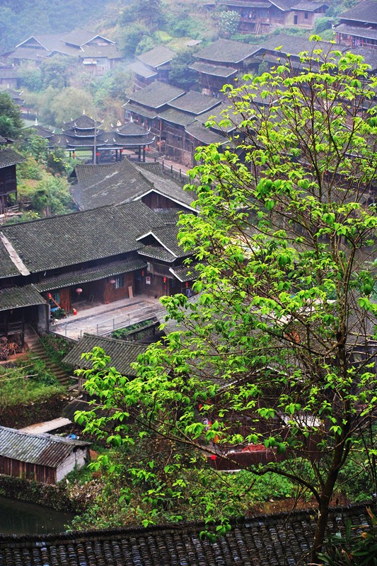 照片 015_副本.jpg