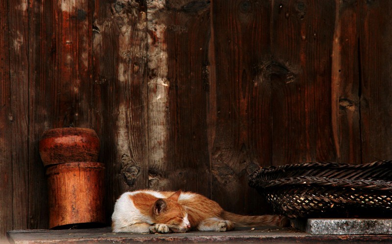 照片 082_副本.jpg