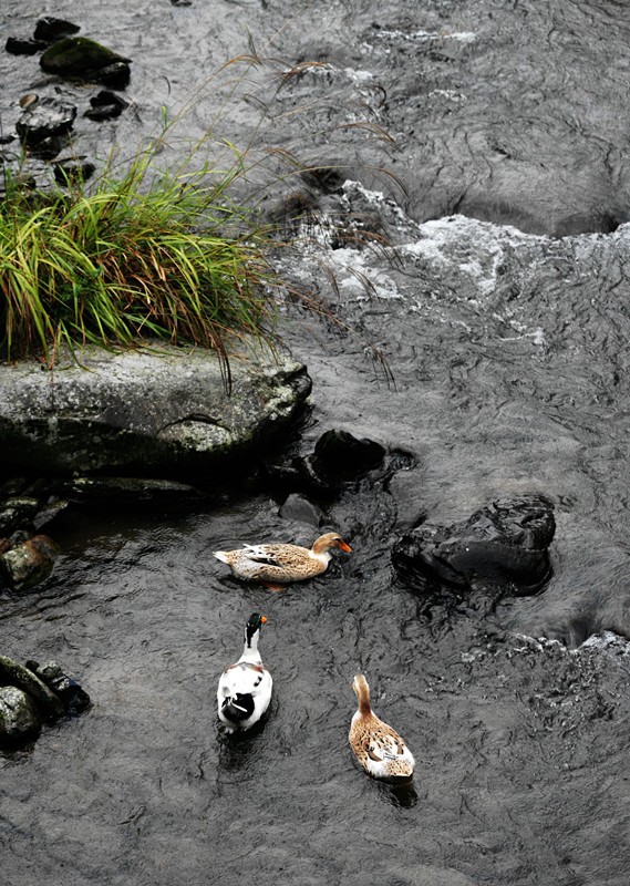 照片 014_副本.jpg