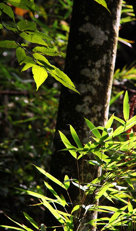 照片 047_副本.jpg