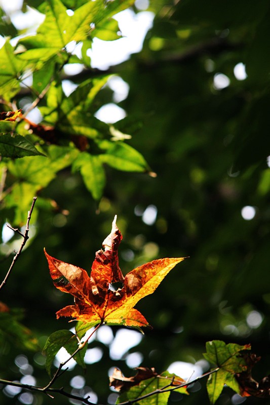 照片 059_副本.jpg