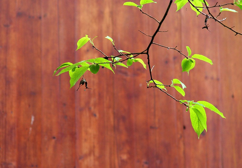 照片 064_副本.jpg