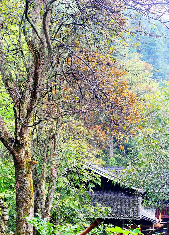 照片 078_副本.jpg