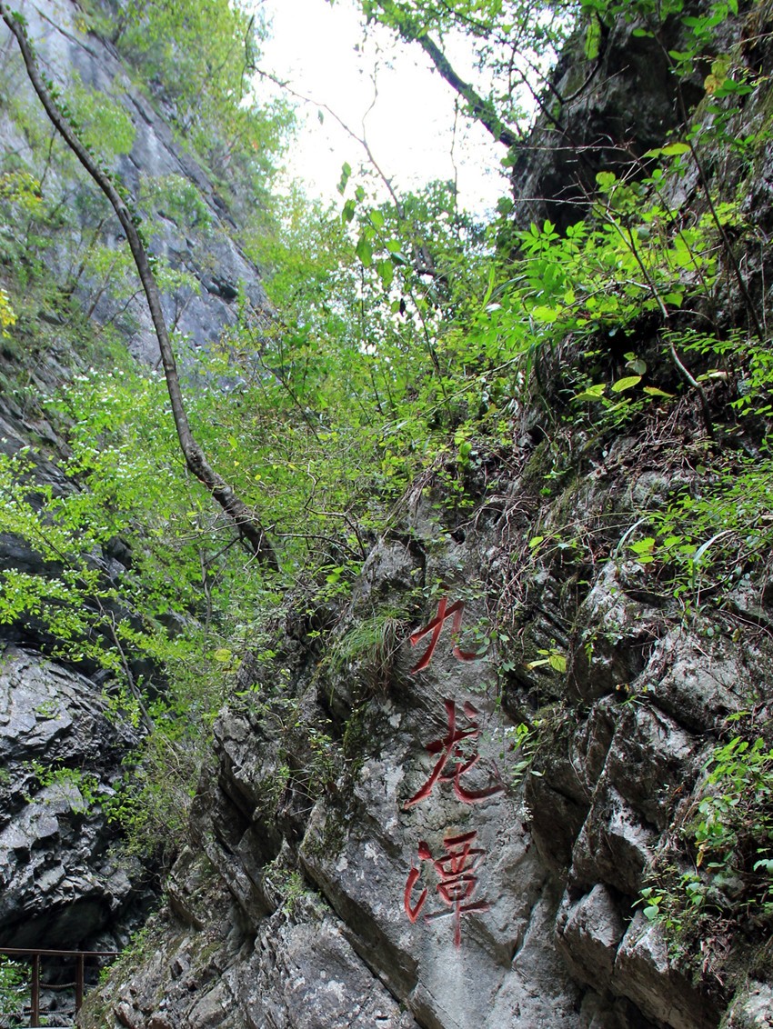 IMG_3719_副本.jpg