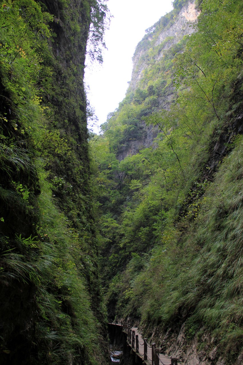 IMG_3737_副本.jpg