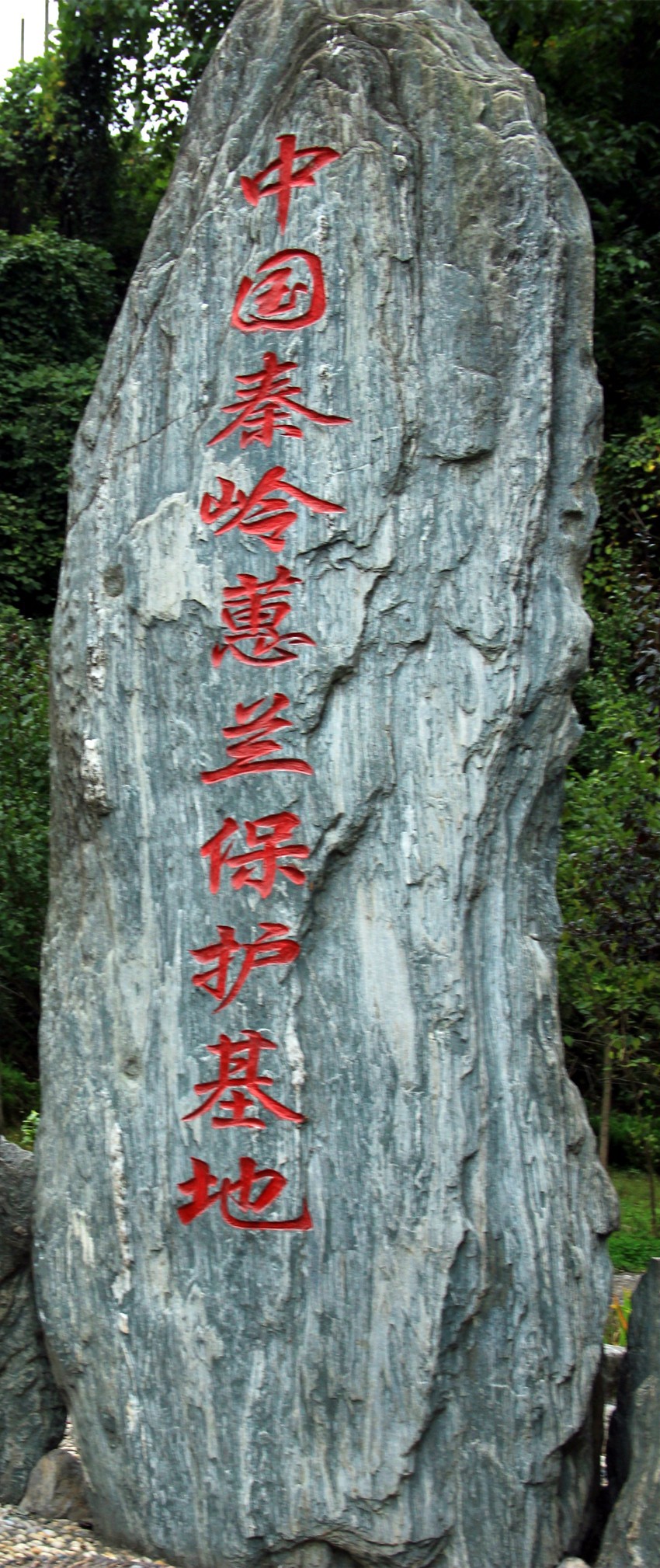 IMG_4011_副本.jpg