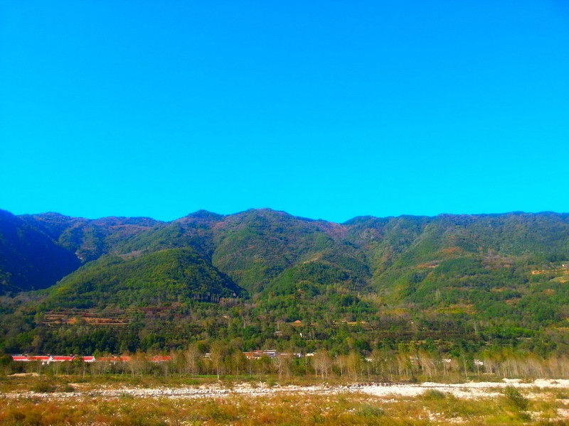 20141005_153636 (1).jpg