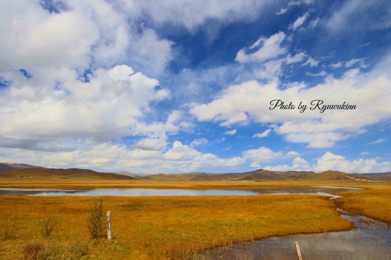 2014-10-17 123512.jpg