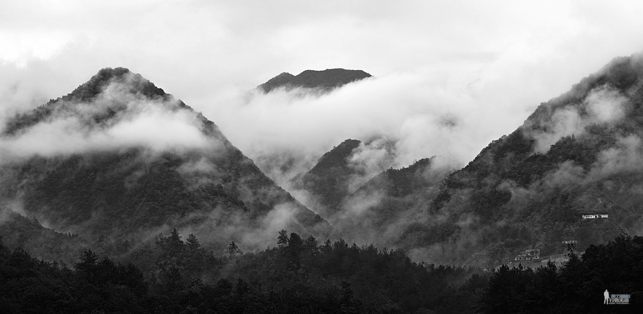 DSC_11077.jpg