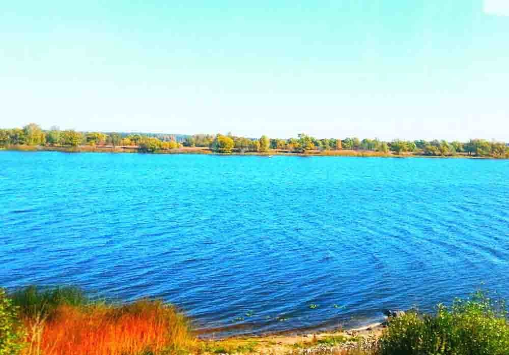 Img4335.jpg