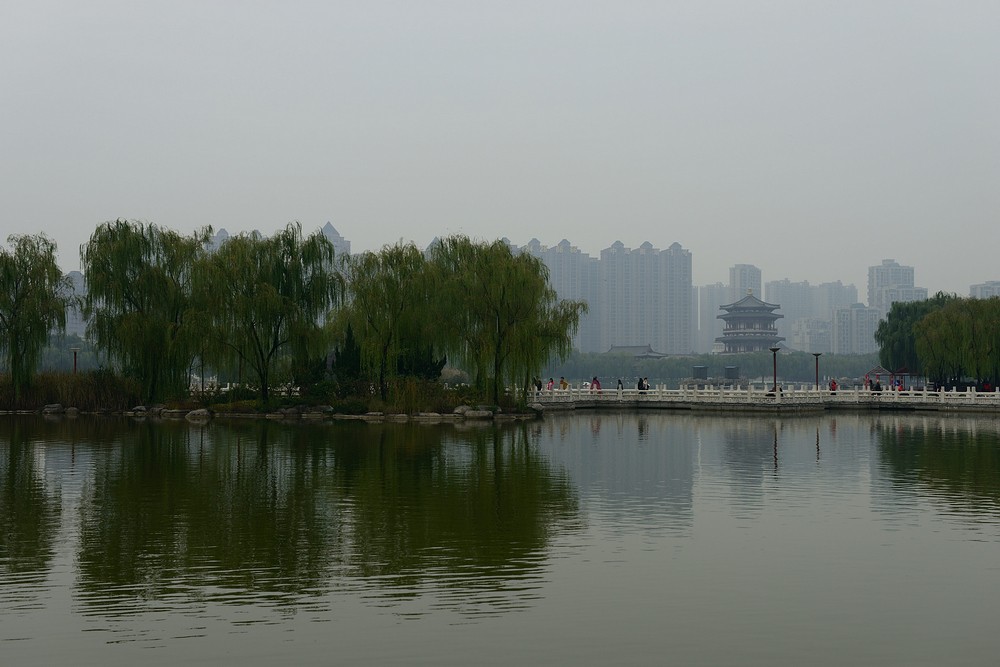 10DSC_1281.jpg