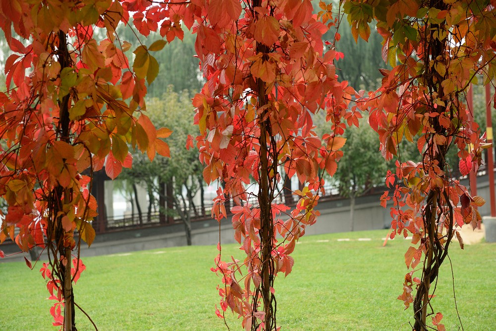 DSC_1220.jpg