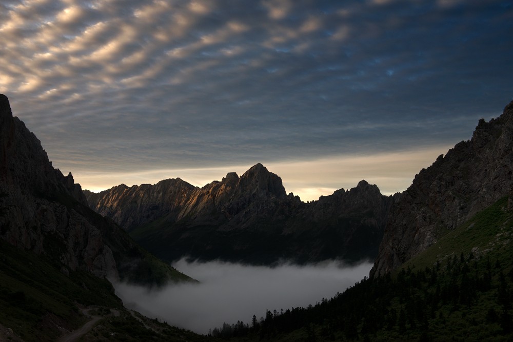 _DSC2867.jpg