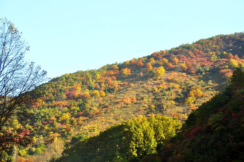 DSC_0025_conew1.jpg