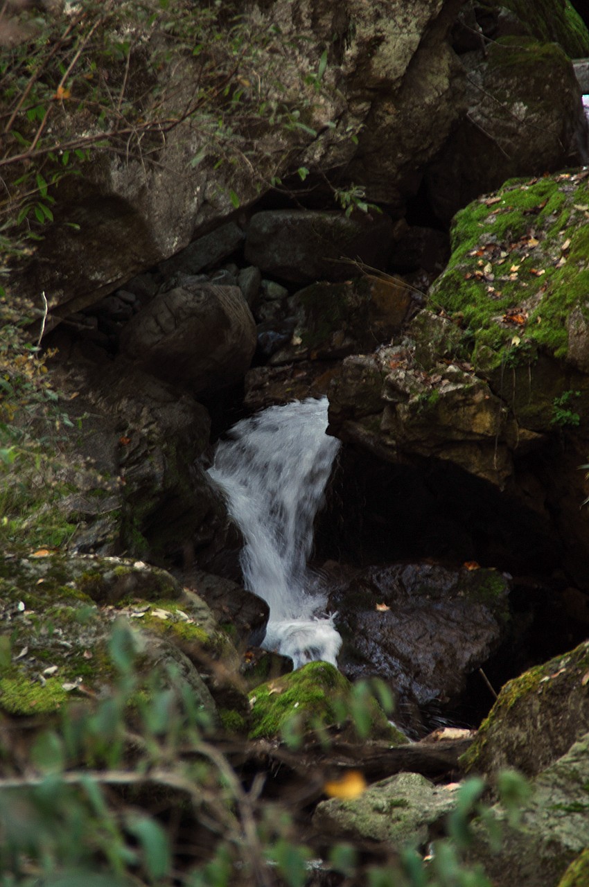 DSC_0084_conew1.jpg
