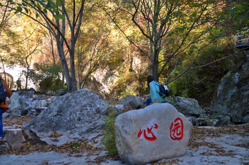DSC_0083_conew1.jpg