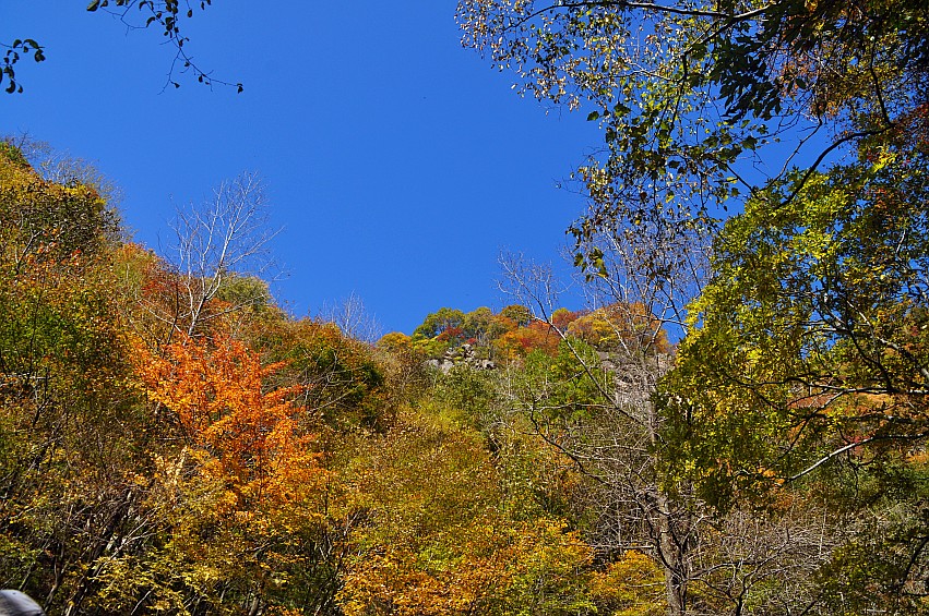 DSC_0069_conew1.jpg