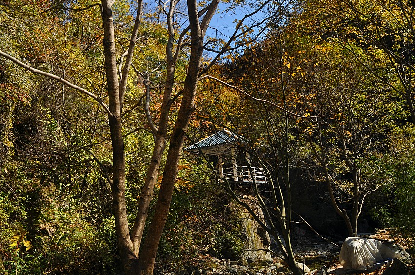 DSC_0141_conew1.jpg