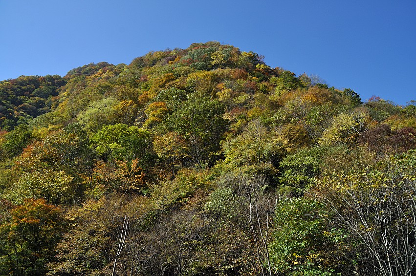 DSC_0163_conew1.jpg