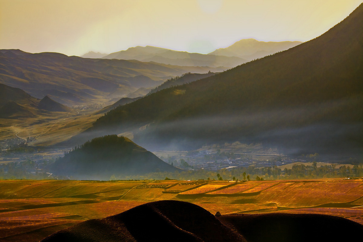 _MG_8855.jpg