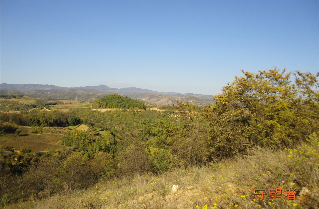 DSC09639_副本_副本.jpg