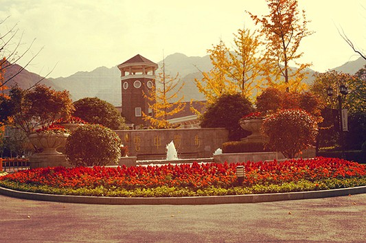 1本 - 副本 - 副本.jpg