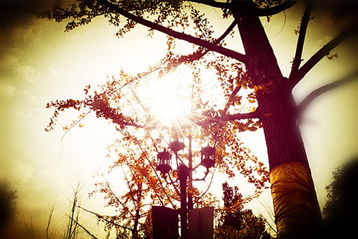 4 - 副本 - 副本.jpg