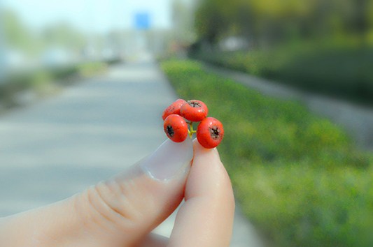 9 - 副本 - 副本.jpg