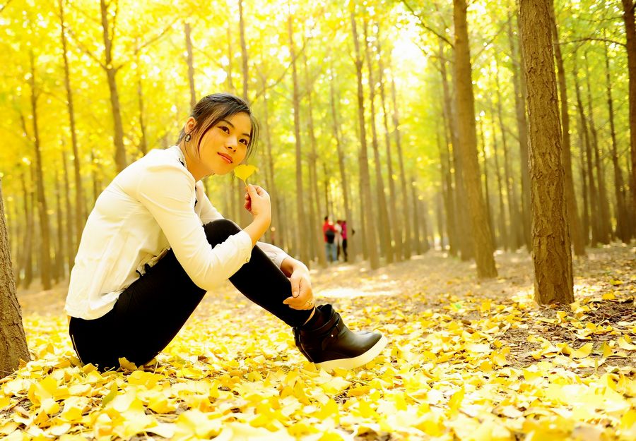 银杏 055_conew1.jpg