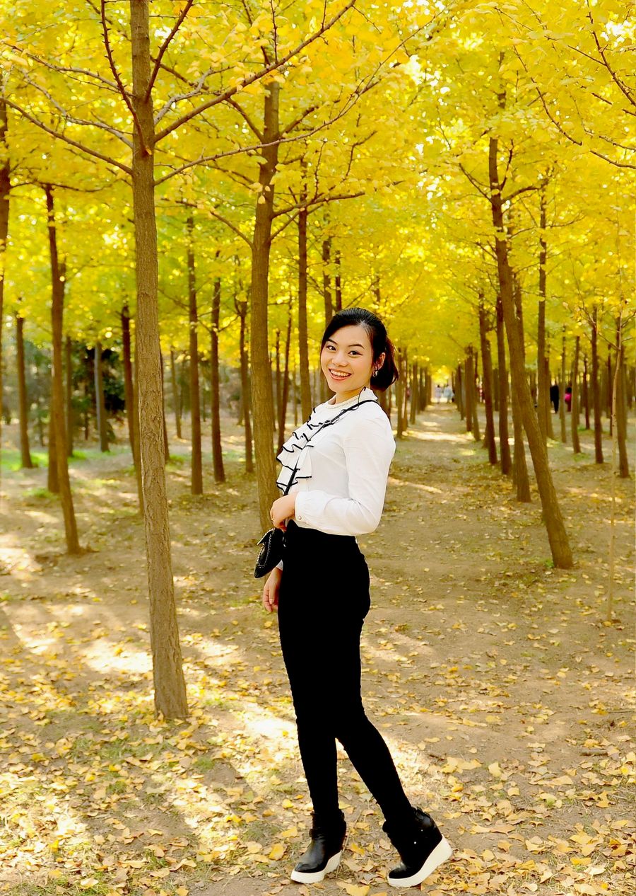 银杏 127_conew1.jpg