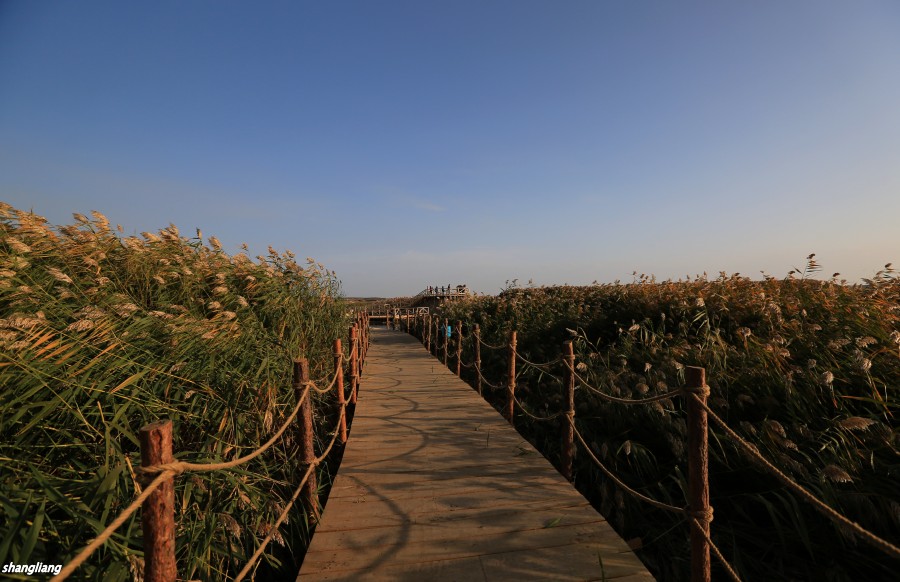 DO2A5120_conew1.jpg