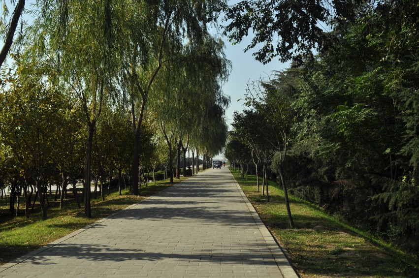 DSC_0099_conew1.jpg