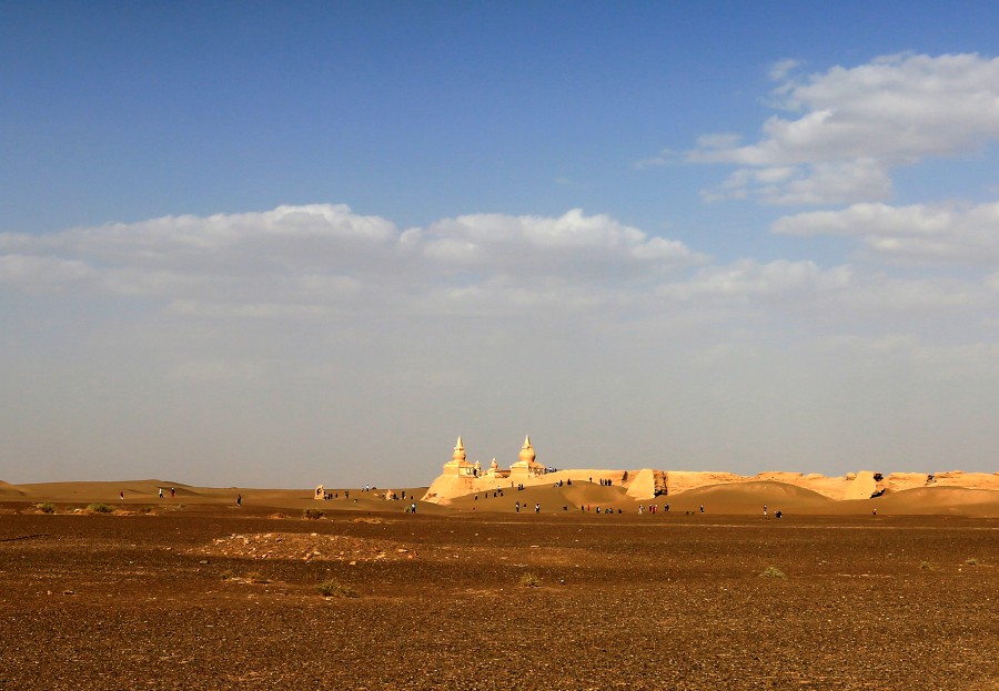 DO2A4839_conew1.jpg