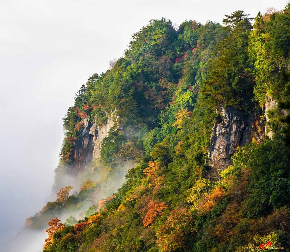 光雾山-云海 (5).jpg