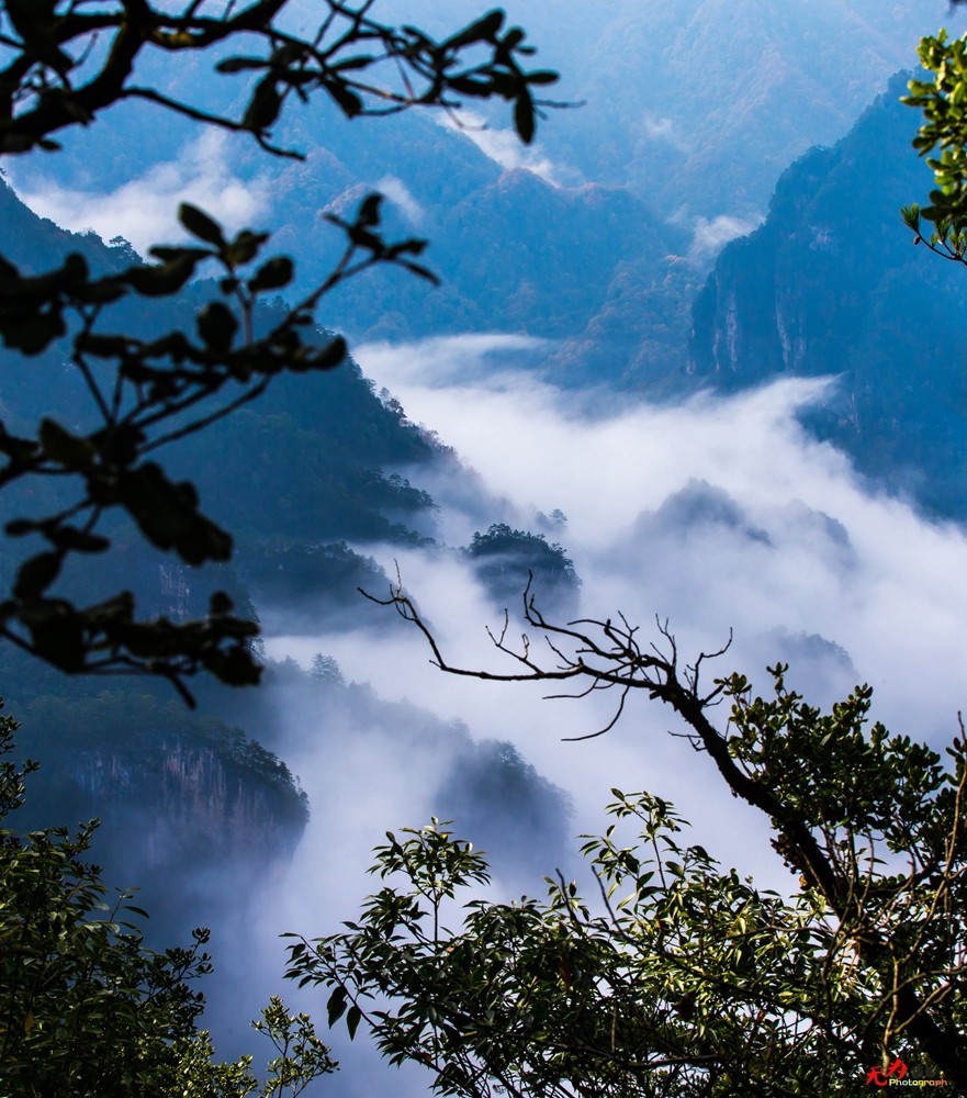 光雾山-云海 (28).jpg