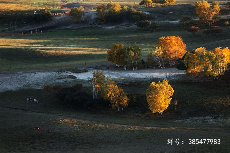 坝上-秋季摆拍 (1).jpg